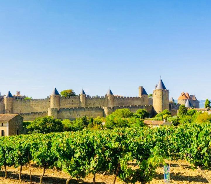 Appartamento T2 cocooning vue panoramique Cité Carcassonne Esterno foto